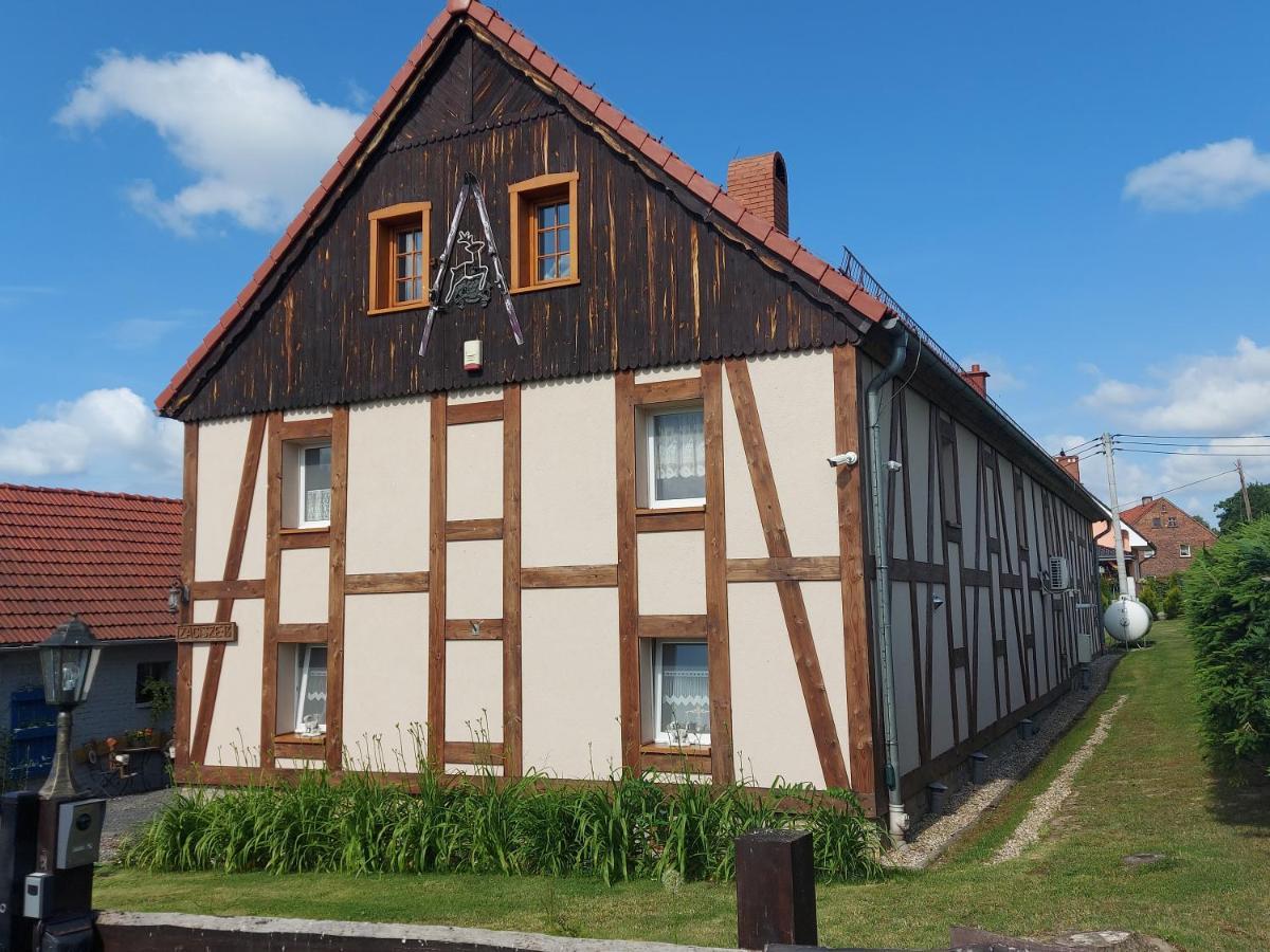 Zacisze 13 Apartment Lesna Exterior photo